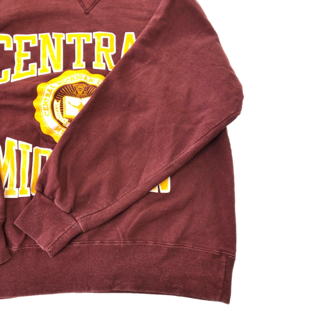 90s Champion College Sweat