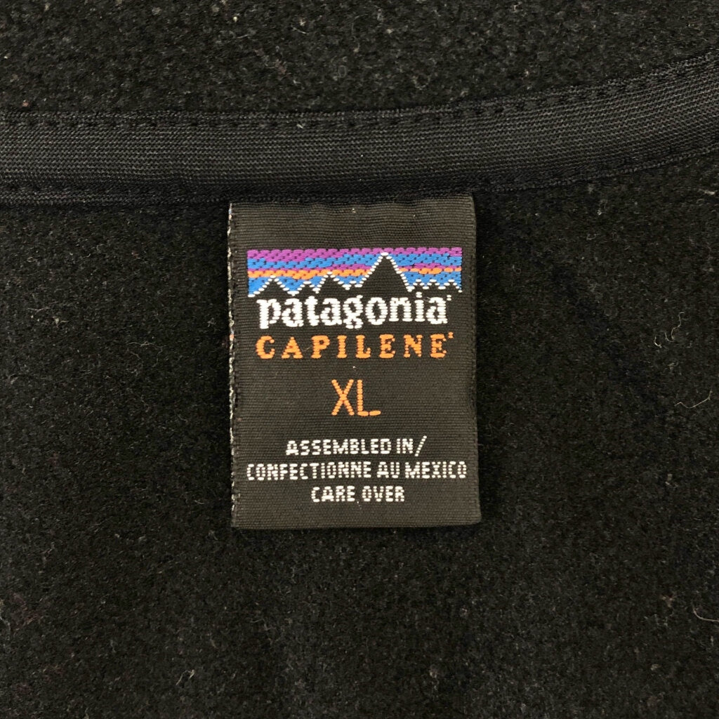 patagonia Capilene Fleece Jacket