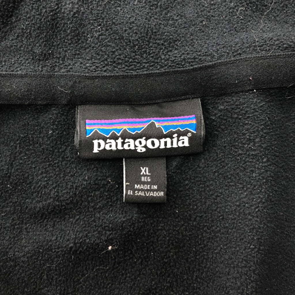 patagonia Micro D Fleece Jacket