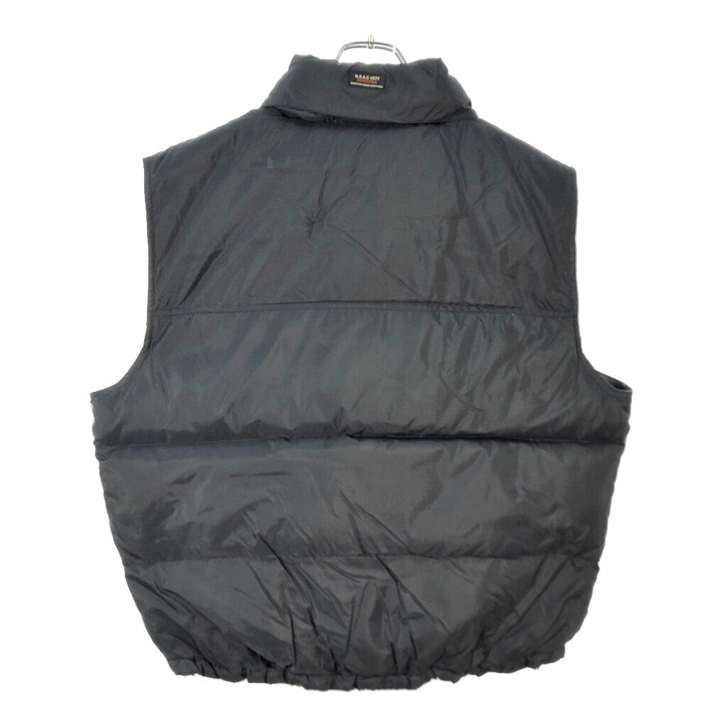American Eagle Down Vest