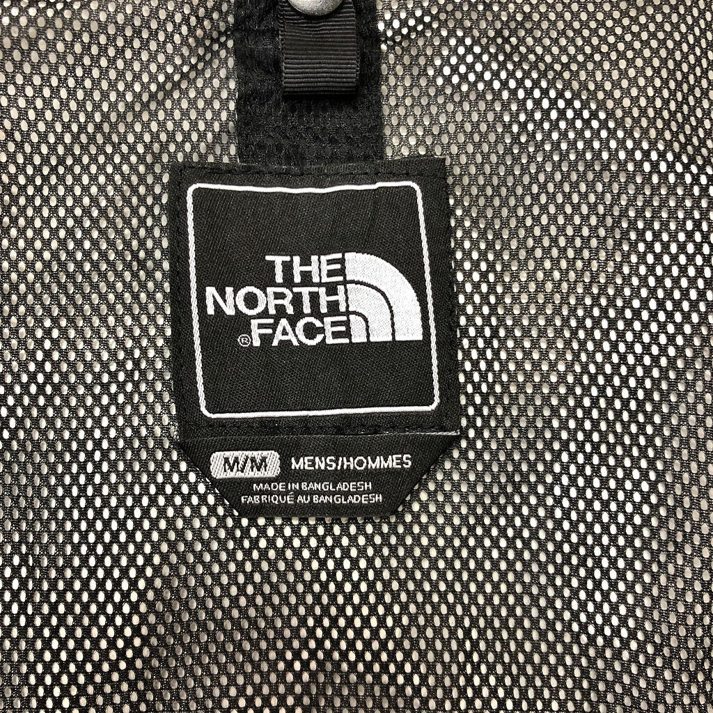 00s THE NORTH FACE Mountain Parka