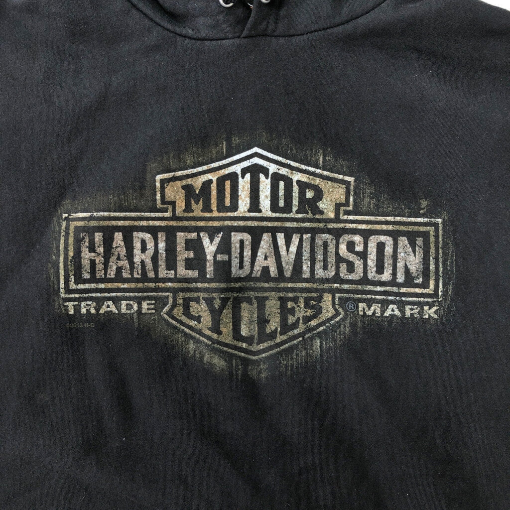 HARLEY DAVIDSON Logo Hoodie
