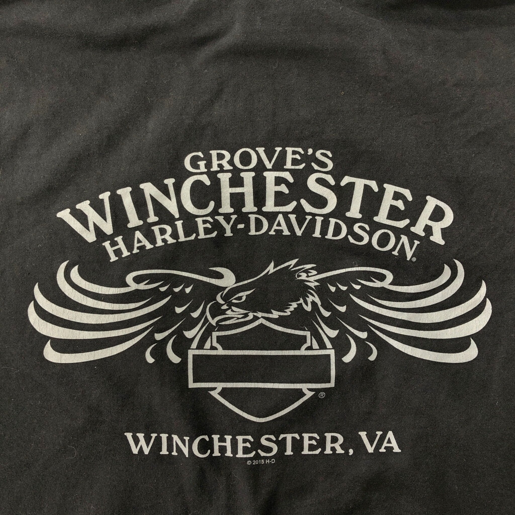 HARLEY DAVIDSON Logo Hoodie