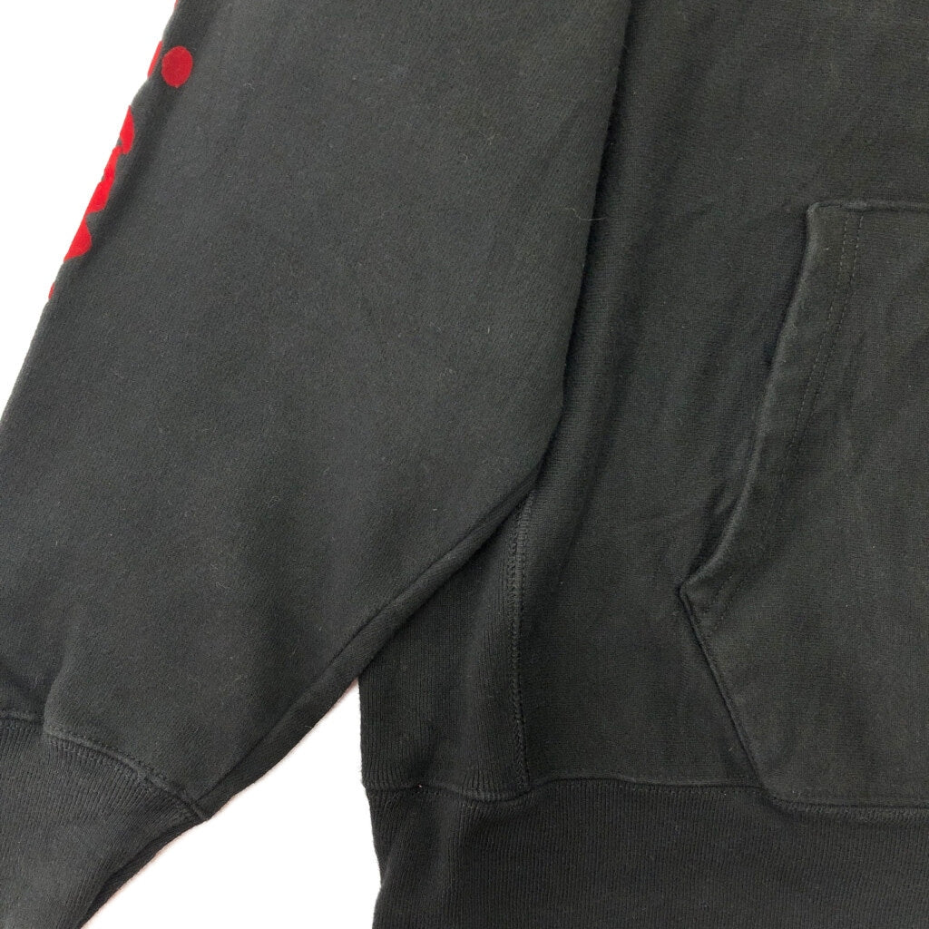 Champion REVERSE WEAVE Hoodie