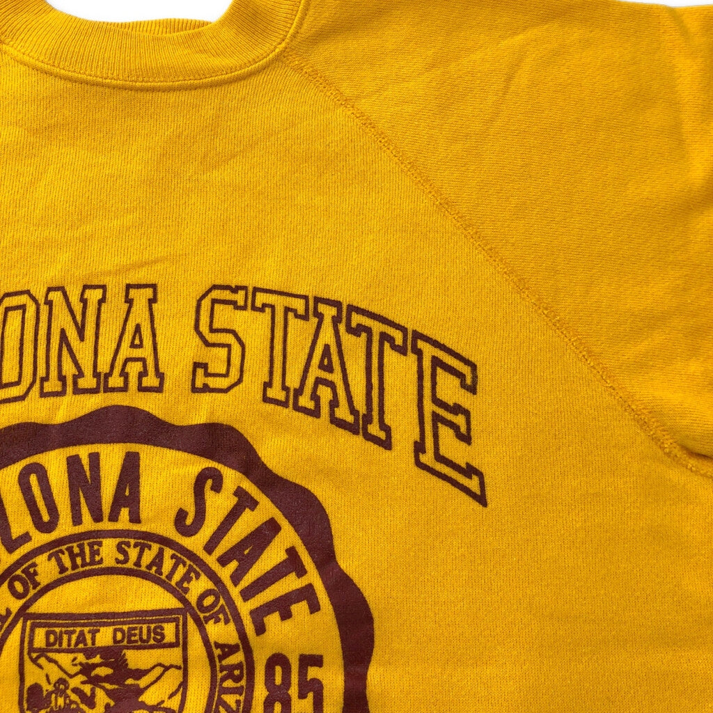 80s Hanes College Sweat