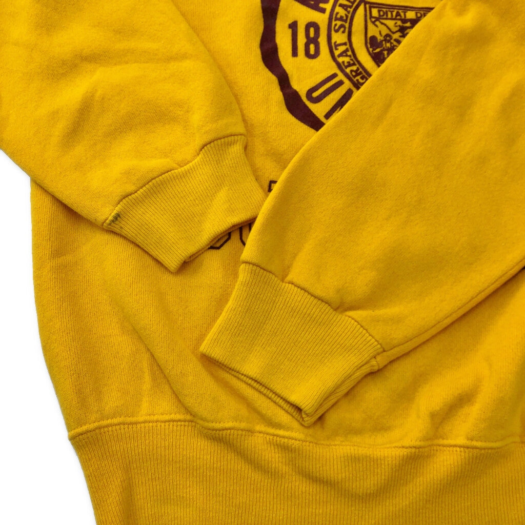 80s Hanes College Sweat
