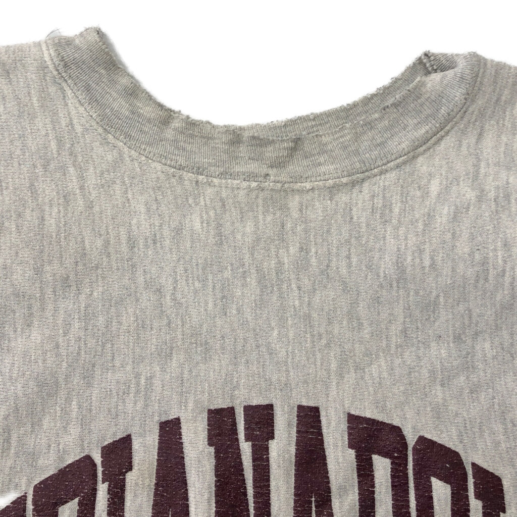 90s Champion REVERSE WEAVE College Sweat