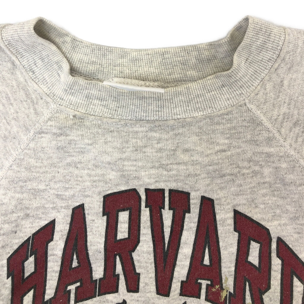 90s TULTEX College Sweat