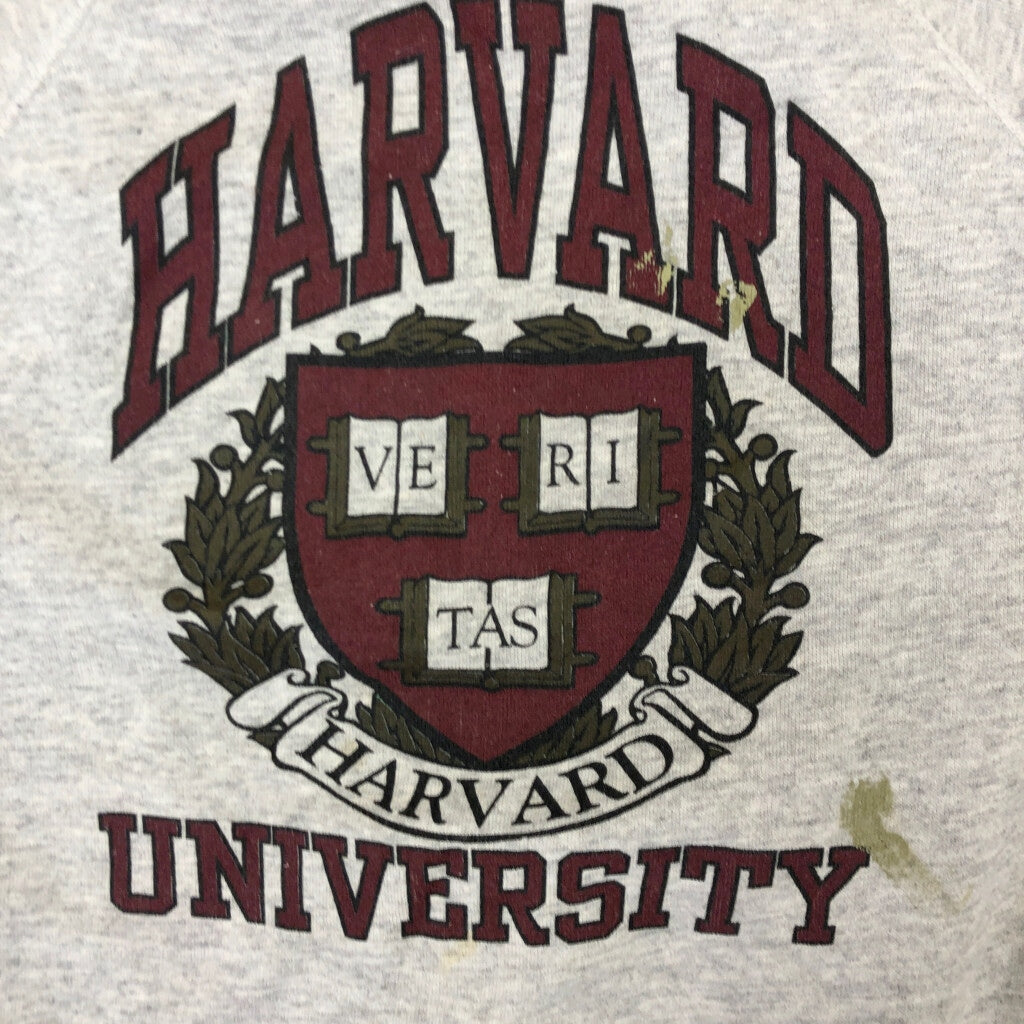 90s TULTEX College Sweat