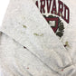90s TULTEX College Sweat