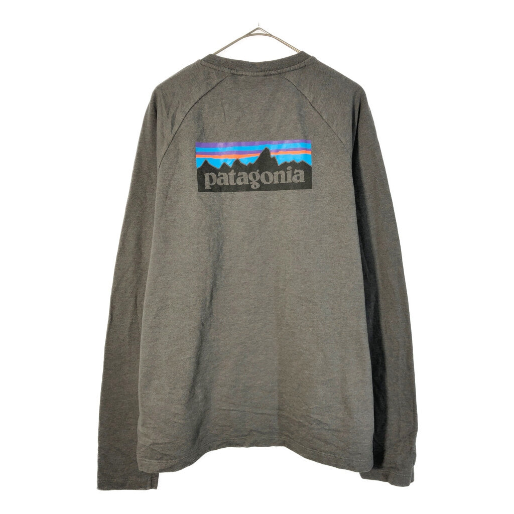 patagonia Organic Cotton Long Sleeve T-Shirt