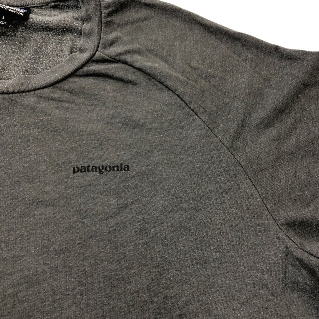 patagonia Organic Cotton Long Sleeve T-Shirt
