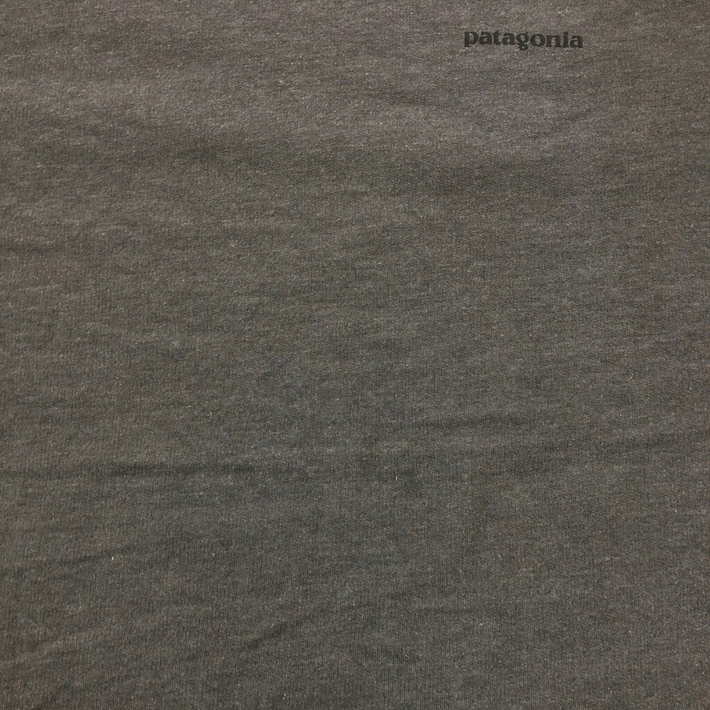 patagonia Organic Cotton Long Sleeve T-Shirt