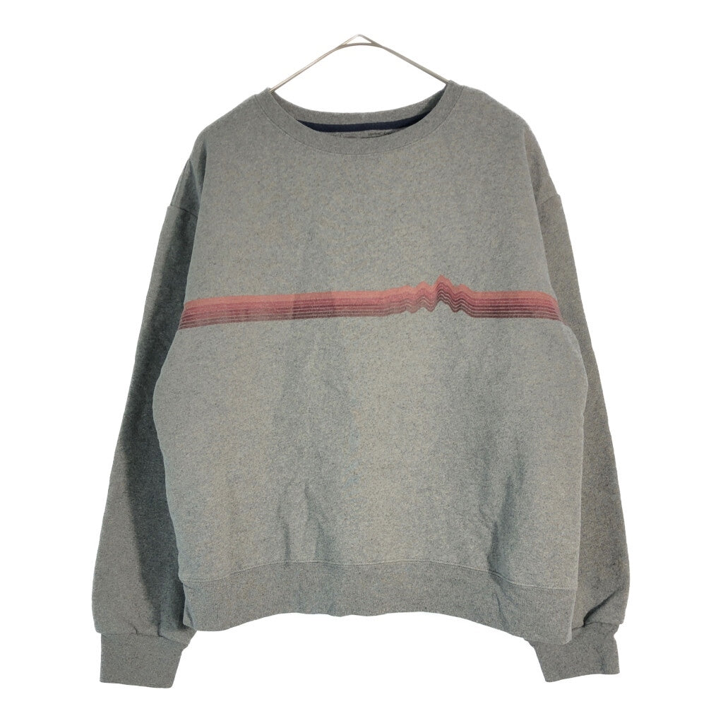 patagonia Sweat