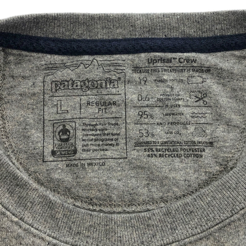 patagonia Sweat
