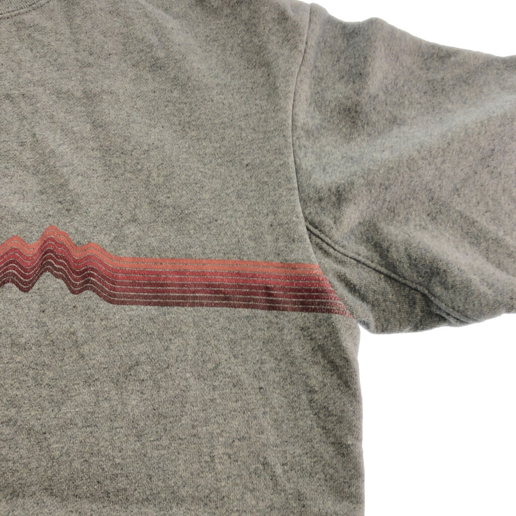 patagonia Sweat