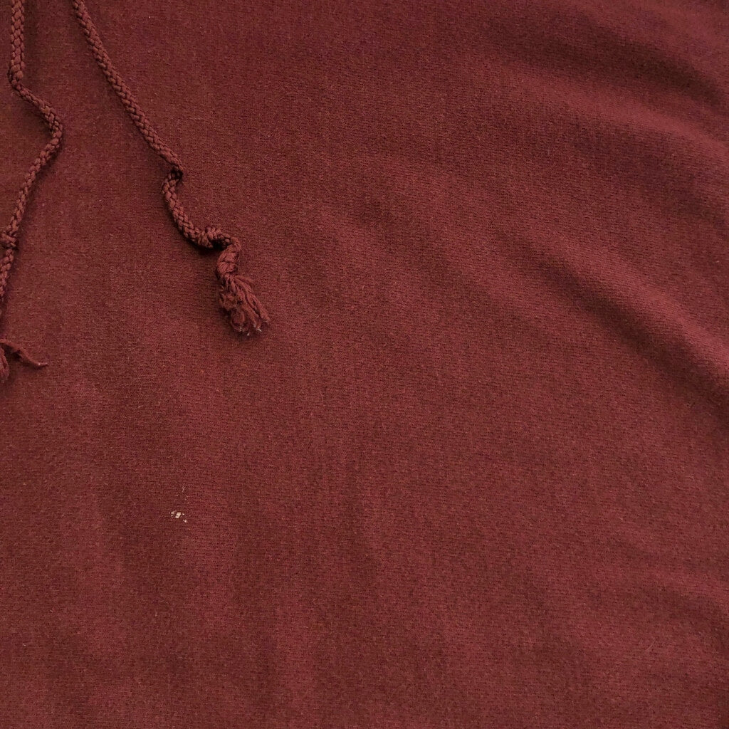 00s Champion PREMIUM REVERSE WEAVE Plain Hoodie