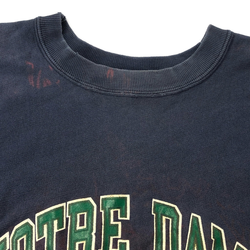 90s Champion REVERSE WEAVE College Sweat