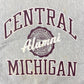 90s Champion REVERSE WEAVE College Sweat