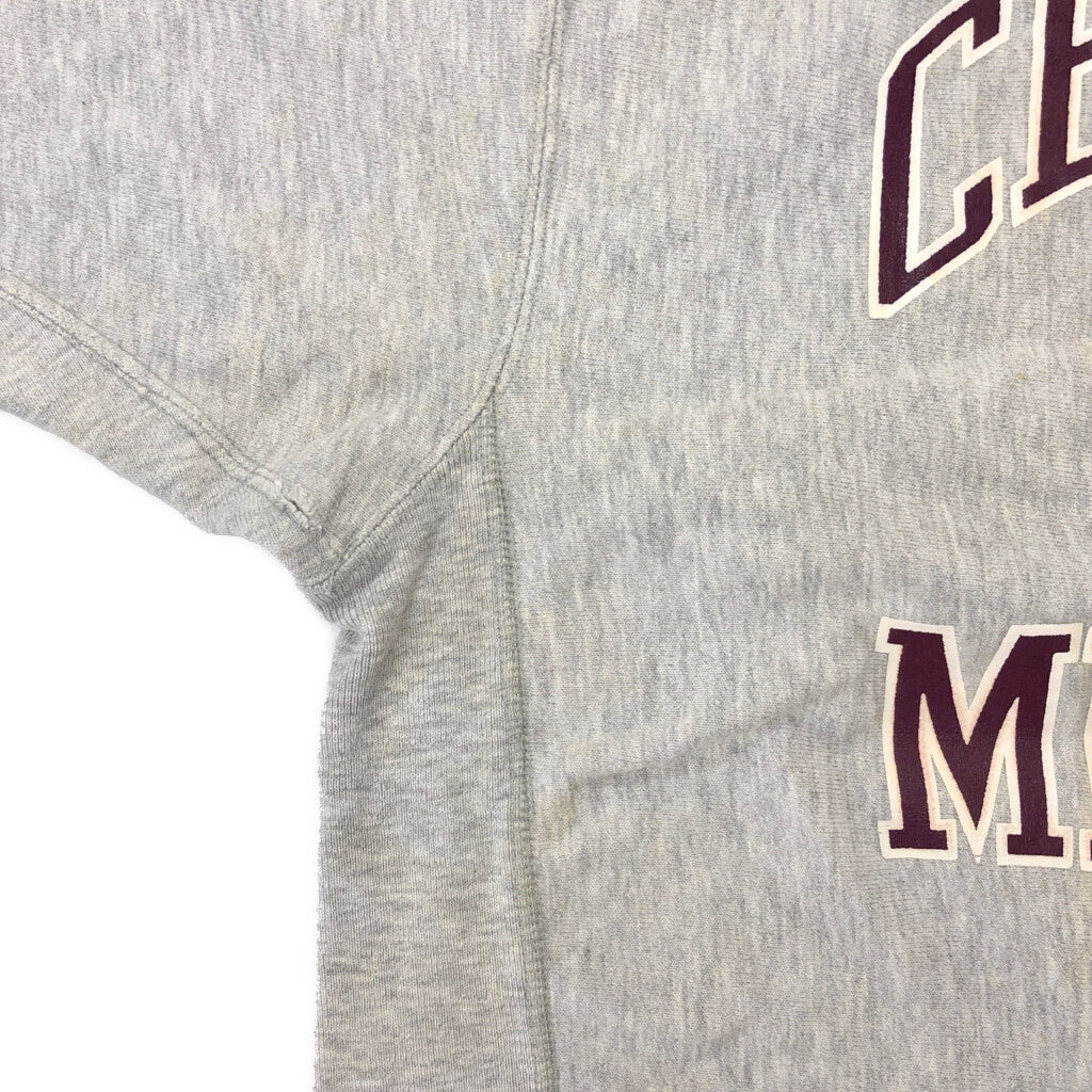 90s Champion REVERSE WEAVE College Sweat