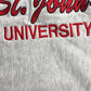90s Champion REVERSE WEAVE College Sweat