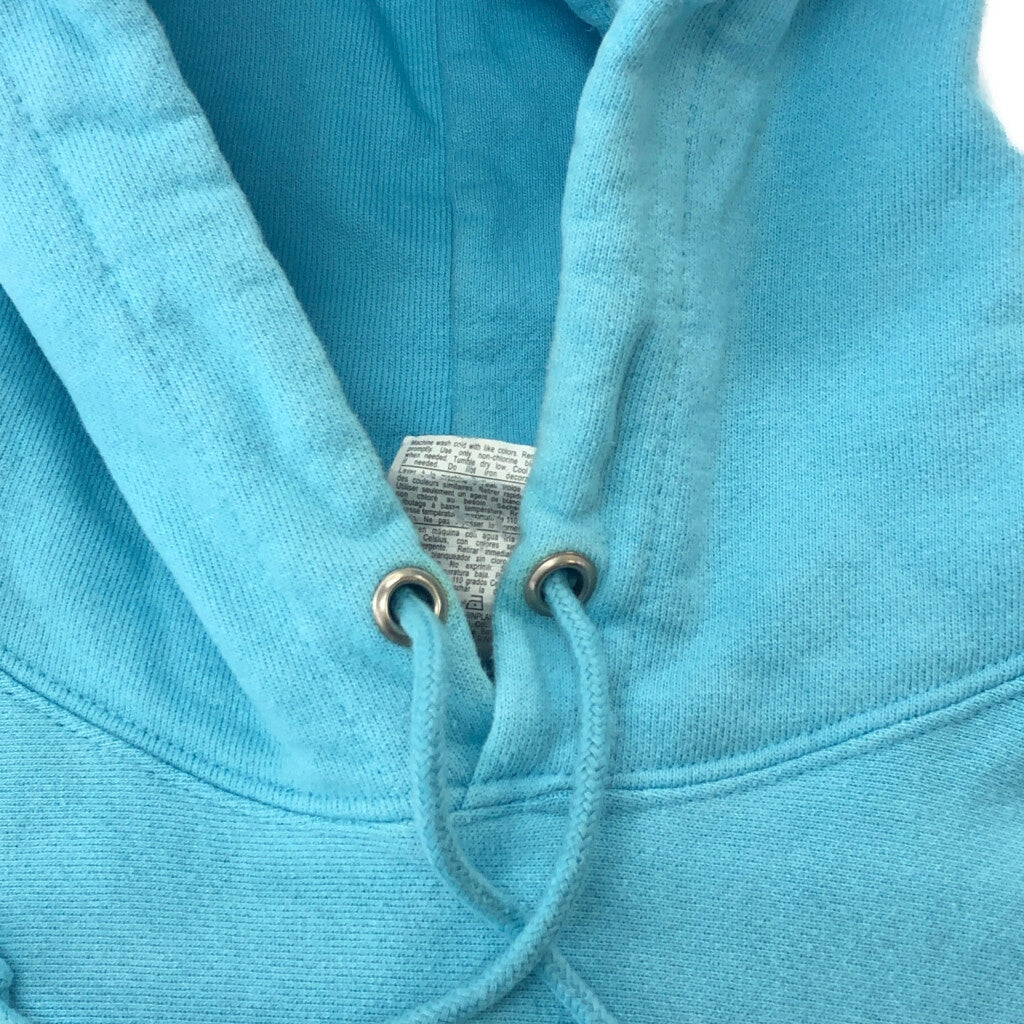 Champion REVERSE WEAVE Logo Hoodie