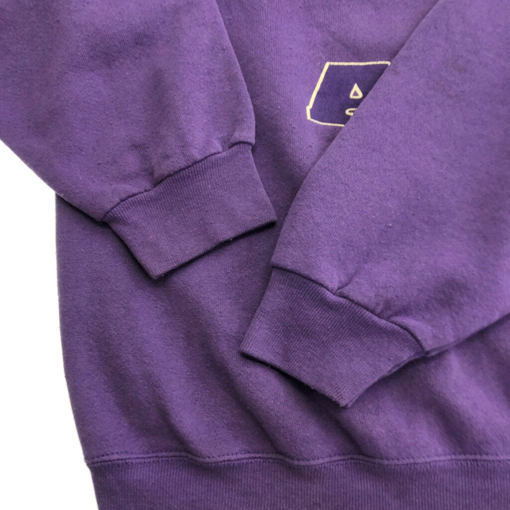 90s TSi College Sweat