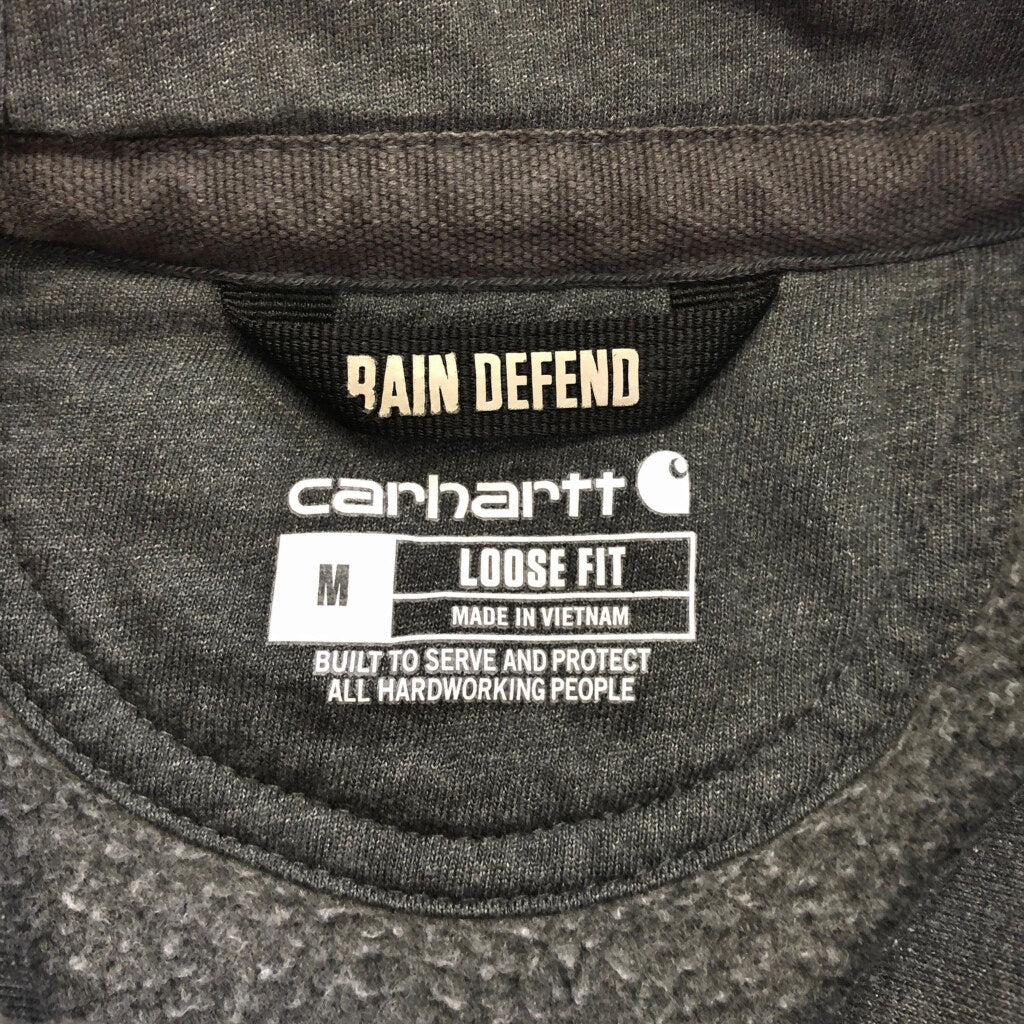 Carhartt Plain Hoodie