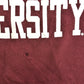 90s Champion REVERSE WEAVE College Sweat