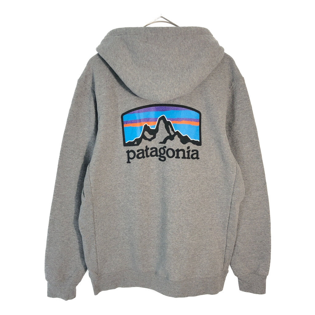 patagonia Hoodie