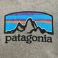 patagonia Hoodie