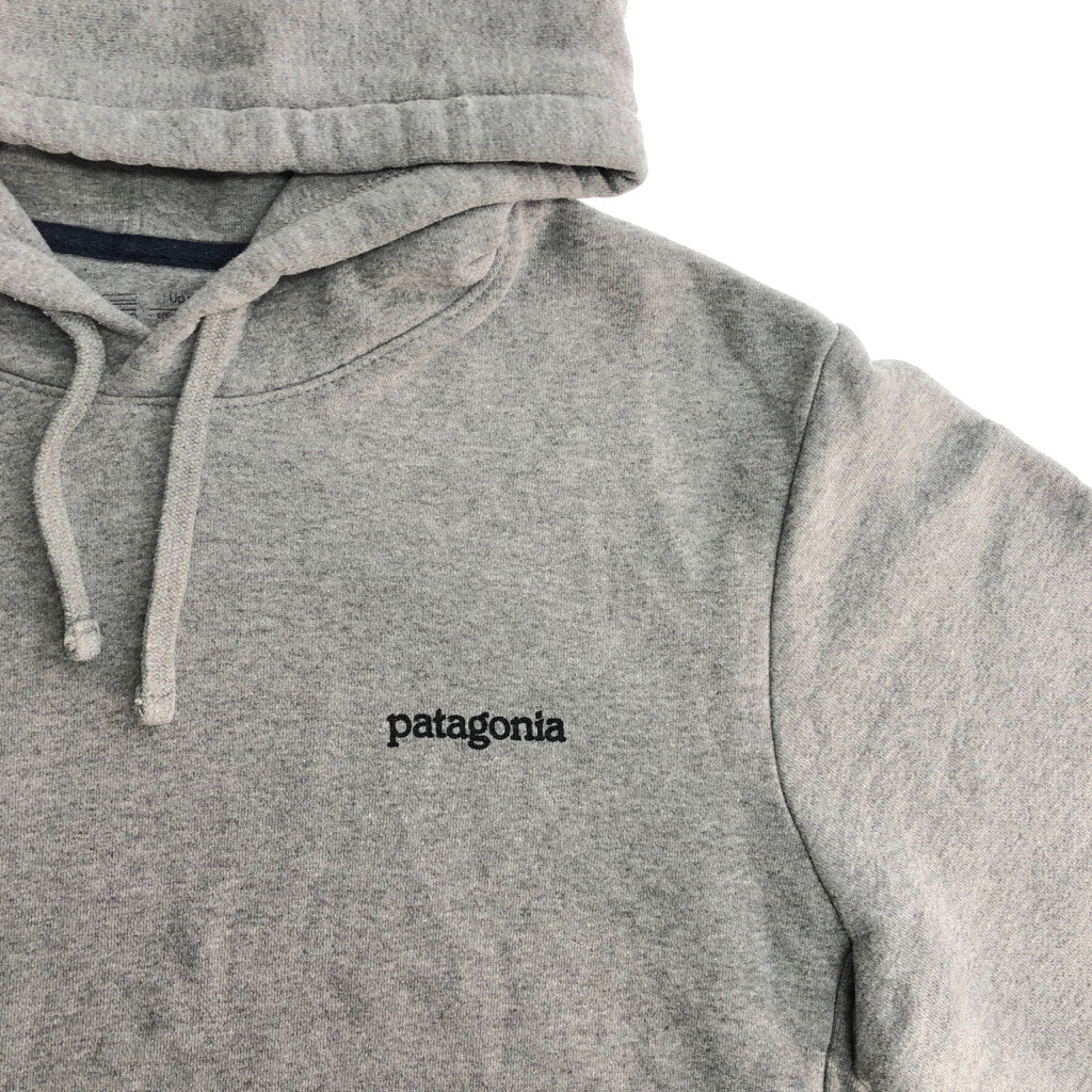 patagonia Hoodie