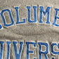 90s Champion REVERSE WEAVE College Sweat