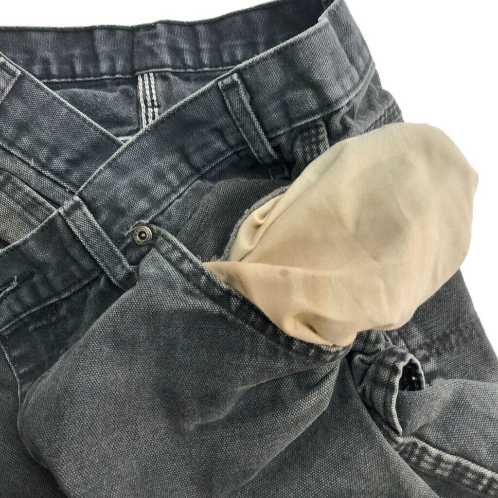 Dickies Duck Painter Painter Pants
