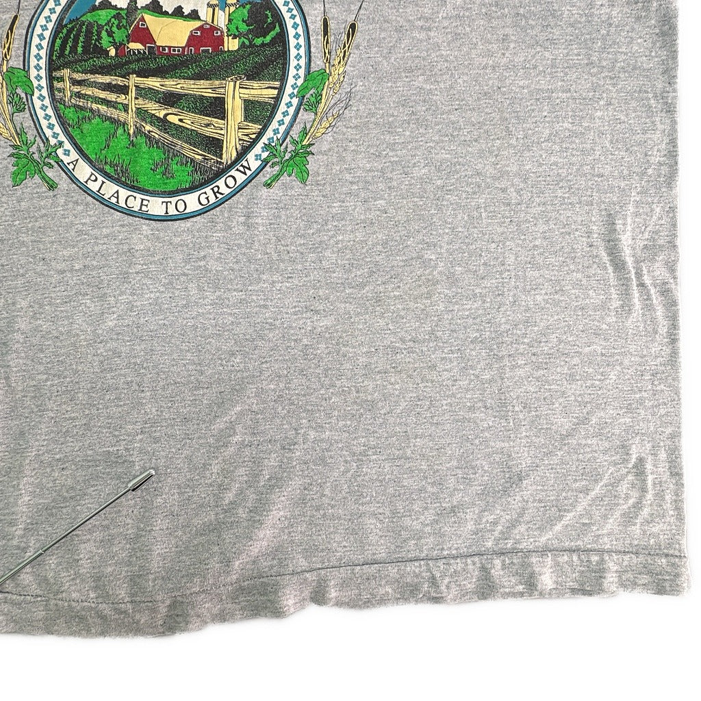 90s FRUIT OF THE LOOM T-Shirt