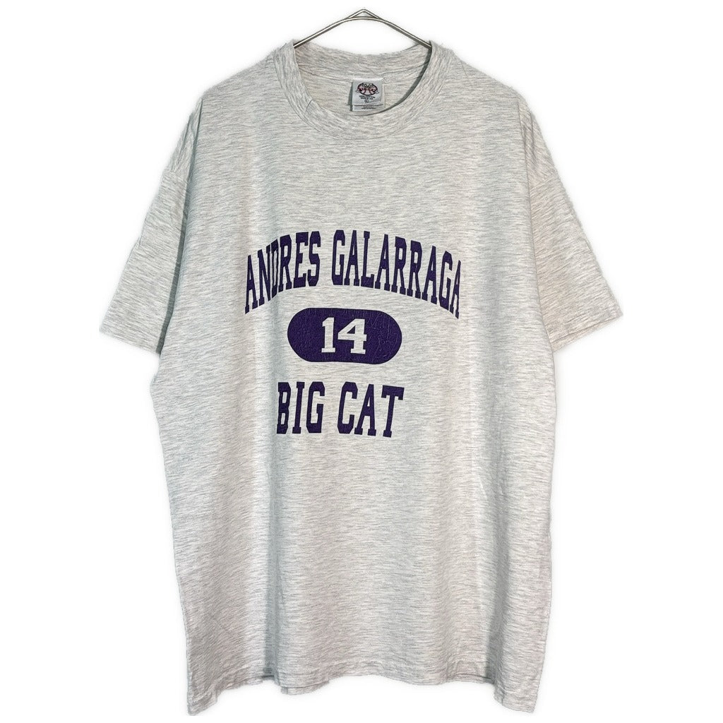 90s BIG CAT College T-Shirt