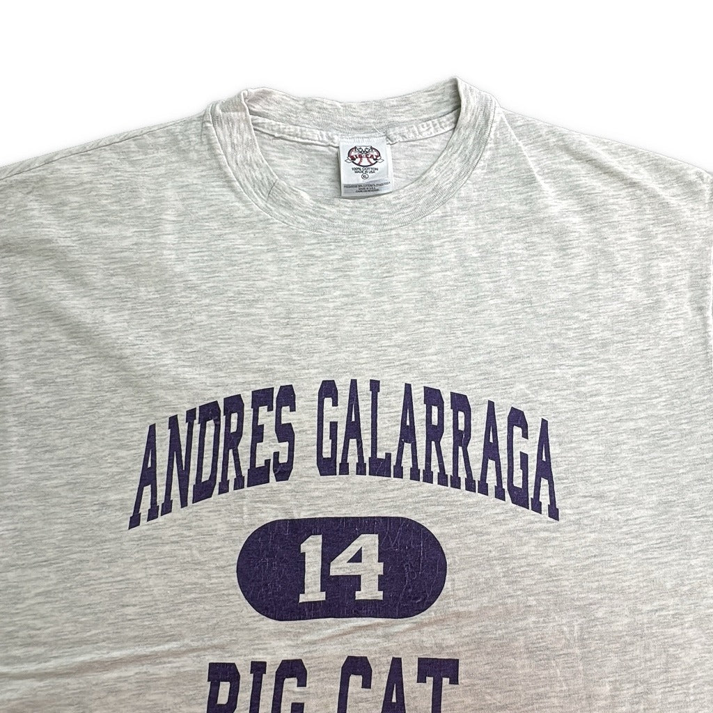 90s BIG CAT College T-Shirt