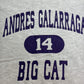 90s BIG CAT College T-Shirt