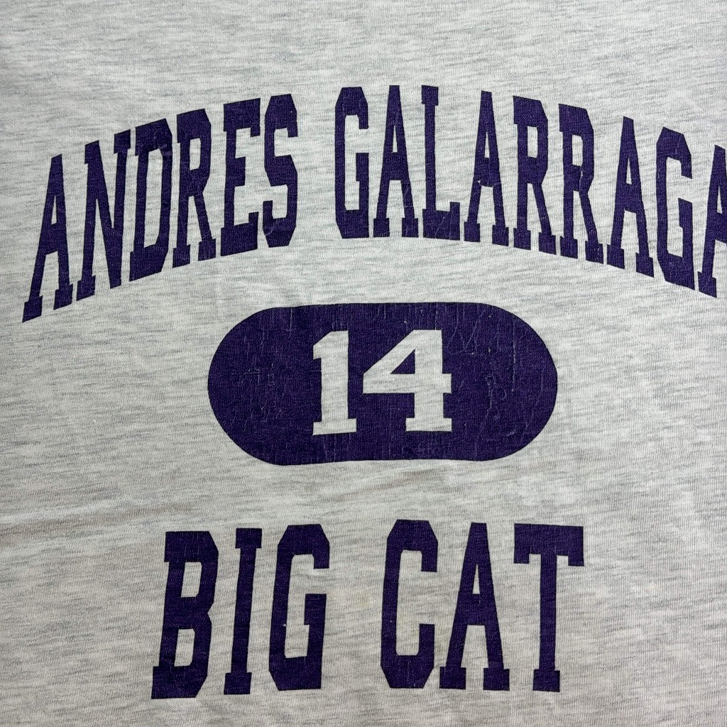 90s BIG CAT College T-Shirt