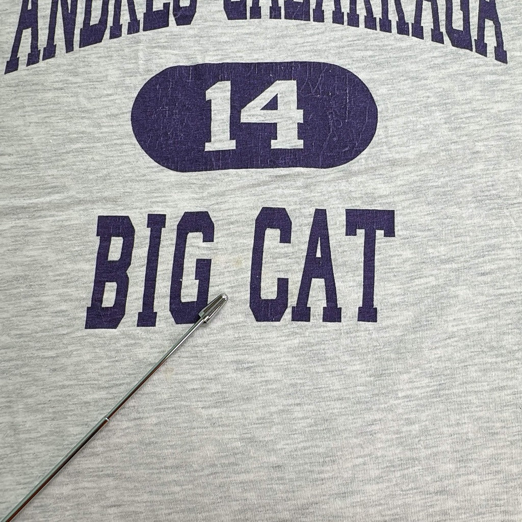 90s BIG CAT College T-Shirt