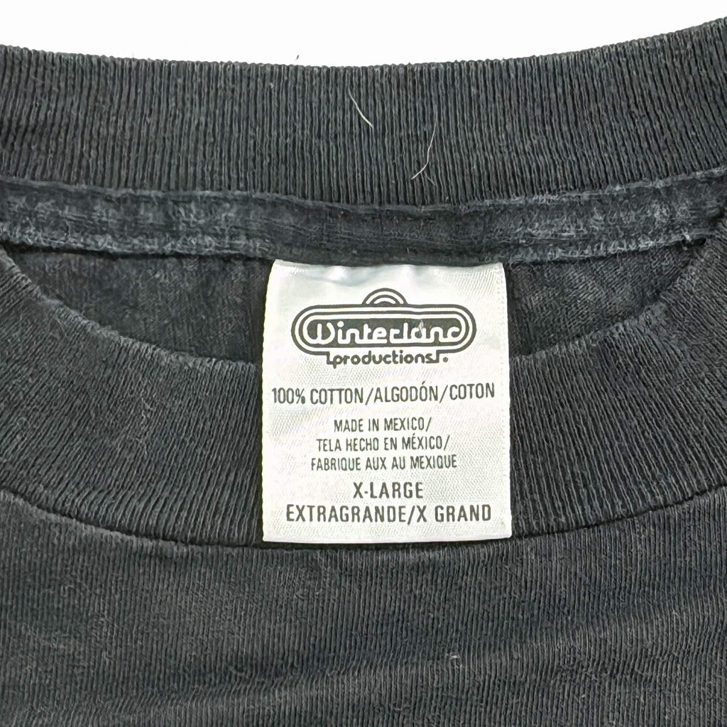 WinterLand Musician T-Shirt