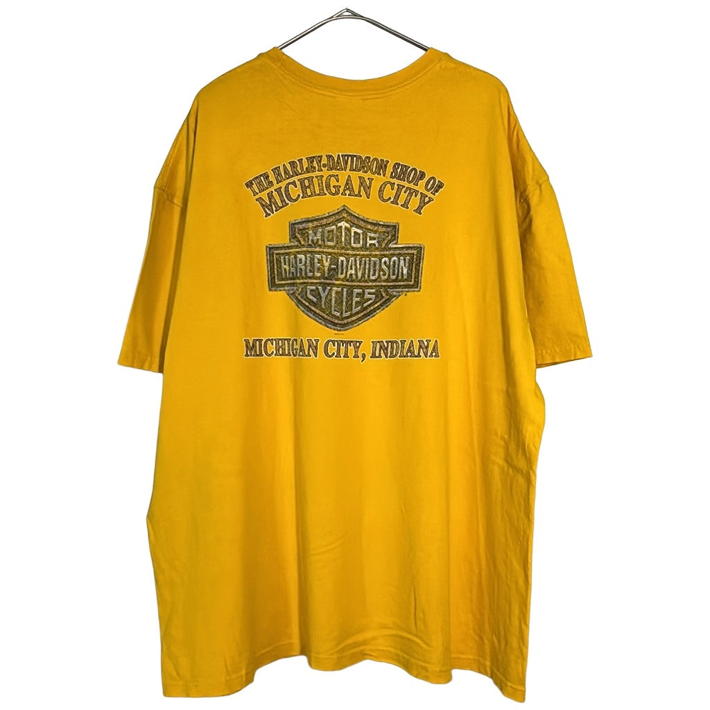 HARLEY DAVIDSON Motorcycle T-Shirt