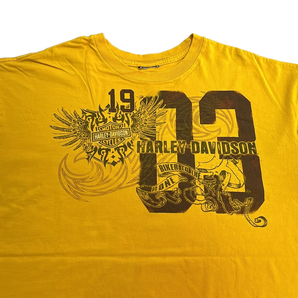 HARLEY DAVIDSON Motorcycle T-Shirt