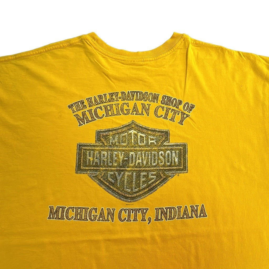 HARLEY DAVIDSON Motorcycle T-Shirt