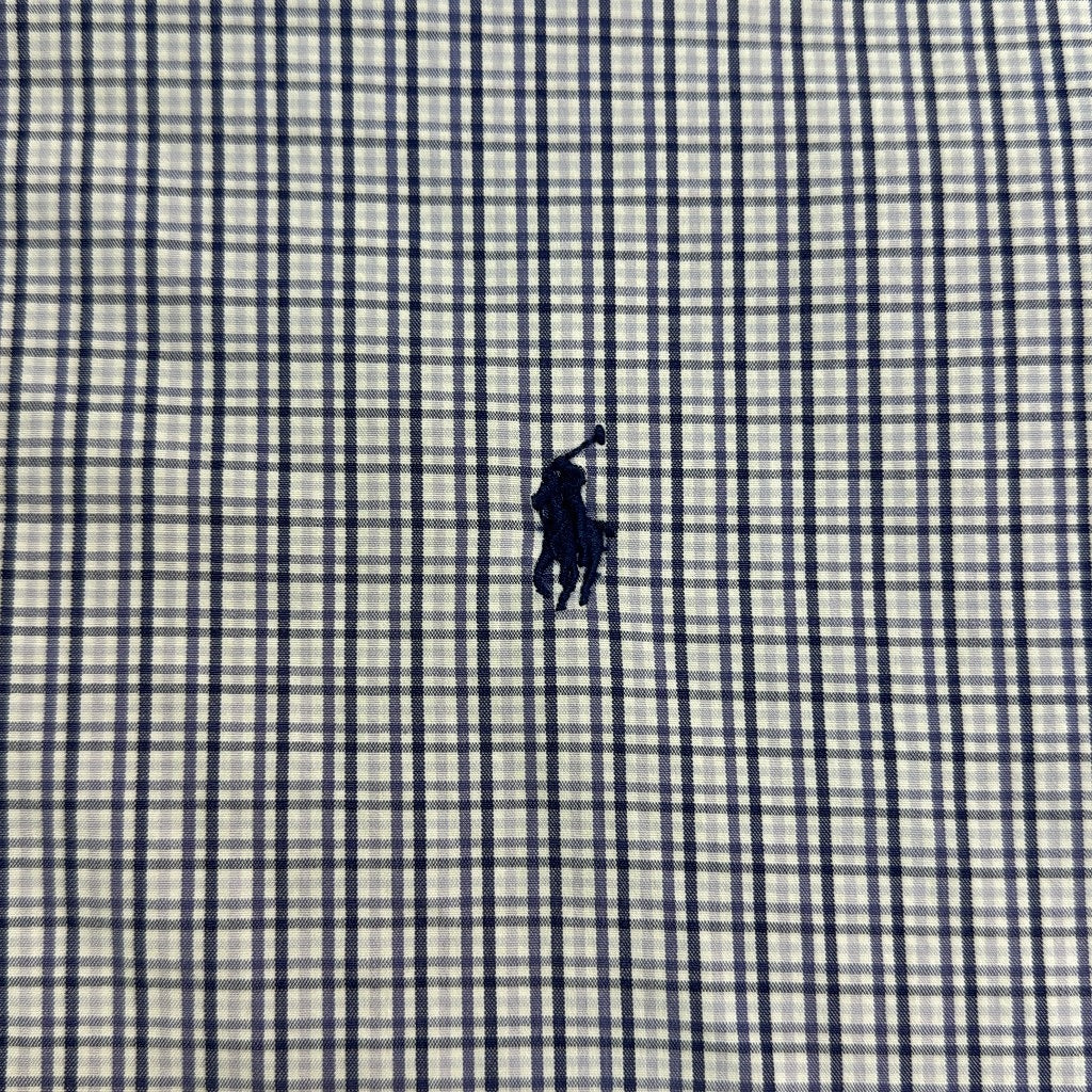 Polo by Ralph Lauren BLAKE Check Shirt