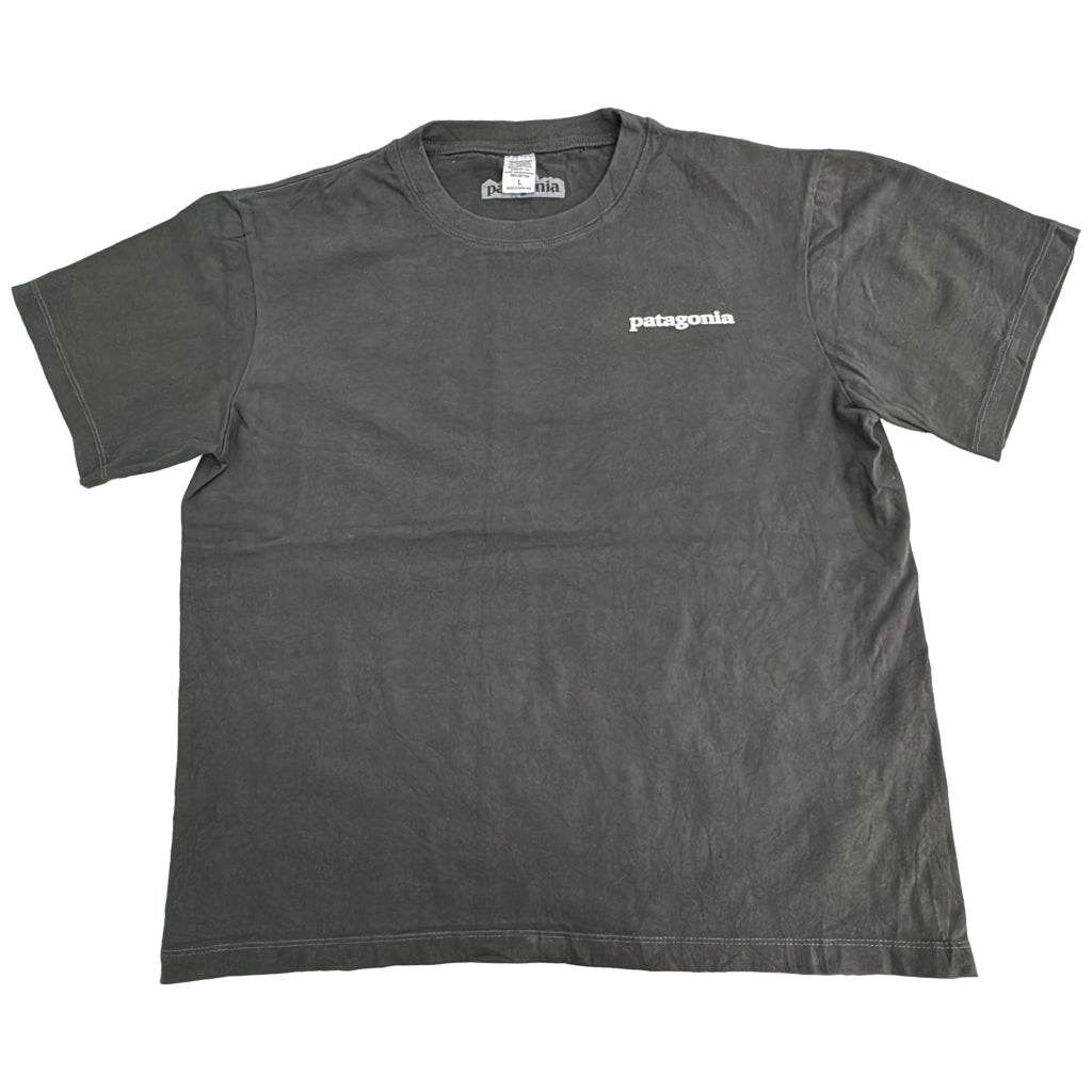 patagonia Company T-Shirt