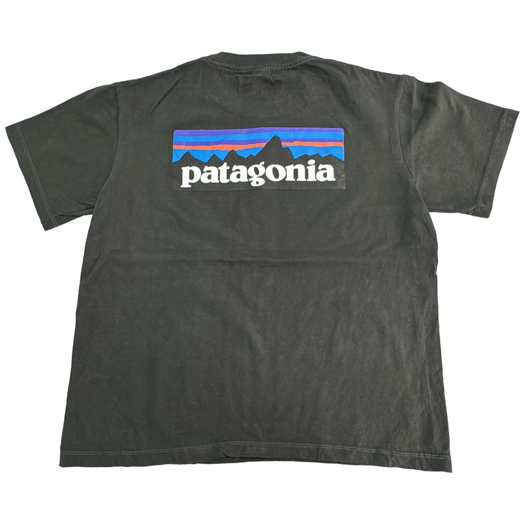 patagonia Company T-Shirt