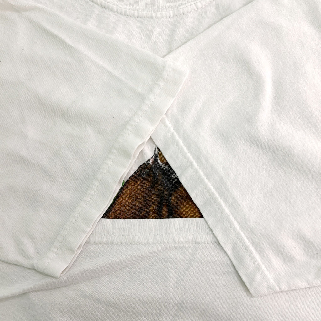 00s GILDAN Animal T-Shirt