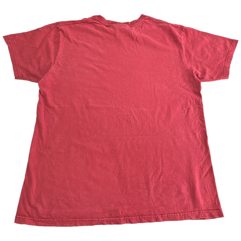 00s NIKE Sports Brand Pro Team T-Shirt