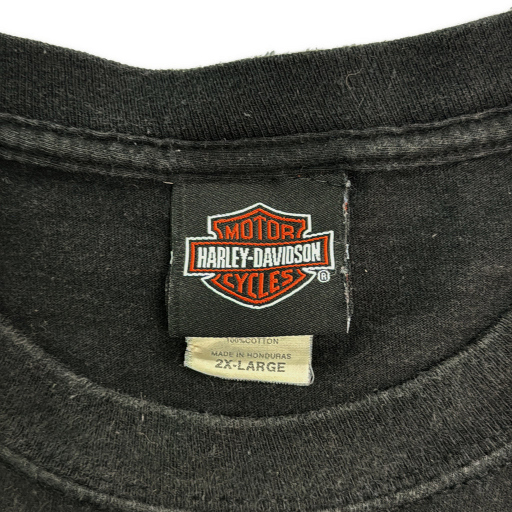HARLEY DAVIDSON Motorcycle T-Shirt